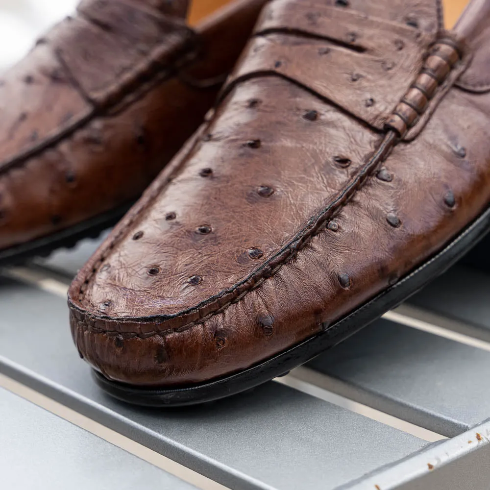Monza Ostrich Quill Driver in Brown by Zelli Italia
