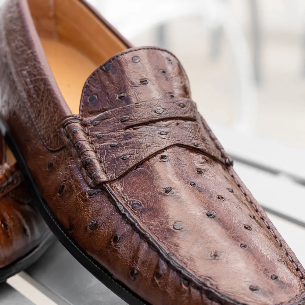 Monza Ostrich Quill Driver in Brown by Zelli Italia