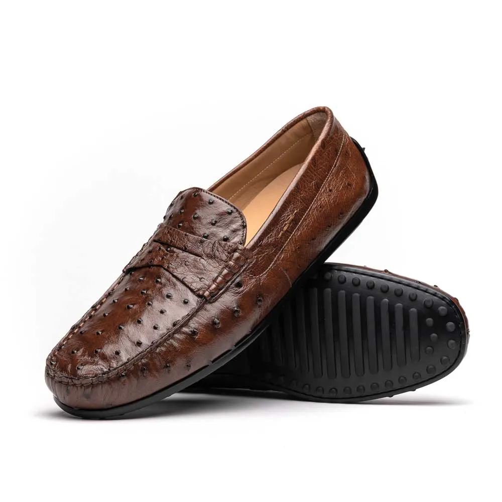 Monza Ostrich Quill Driver in Brown by Zelli Italia