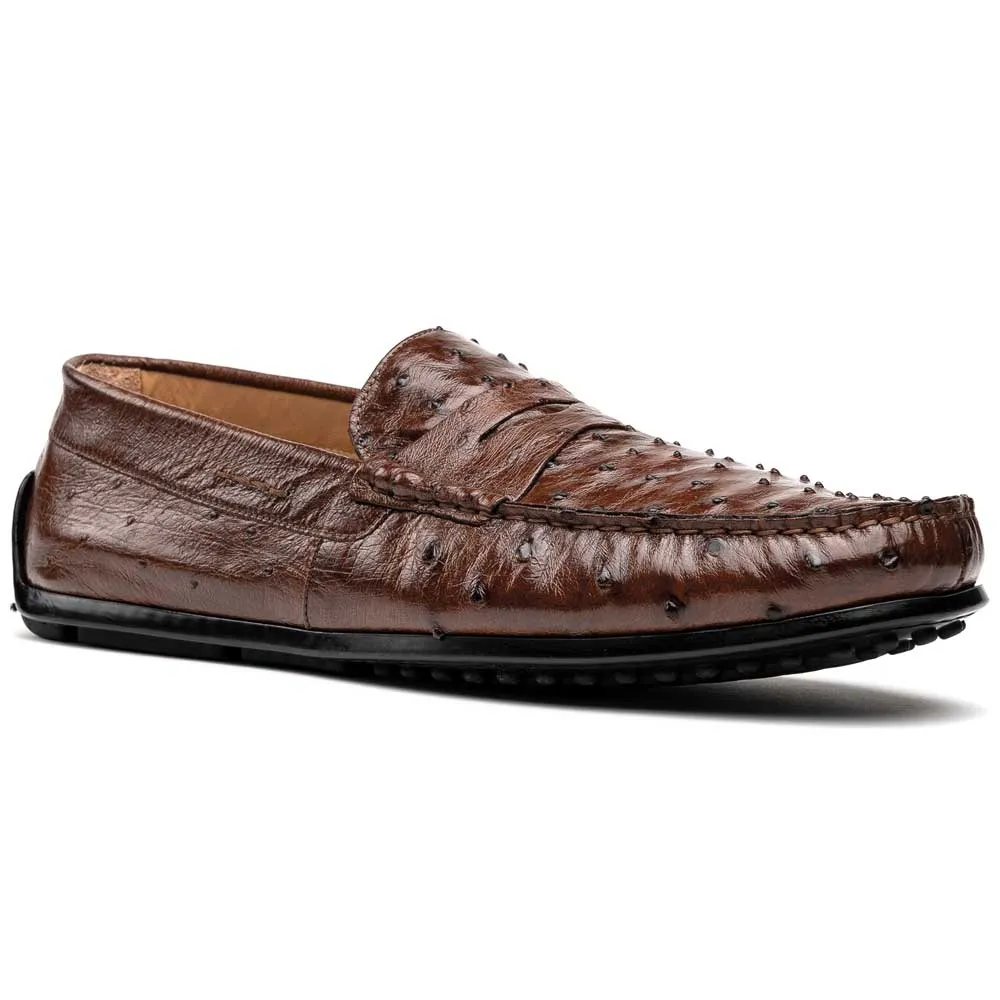 Monza Ostrich Quill Driver in Brown by Zelli Italia
