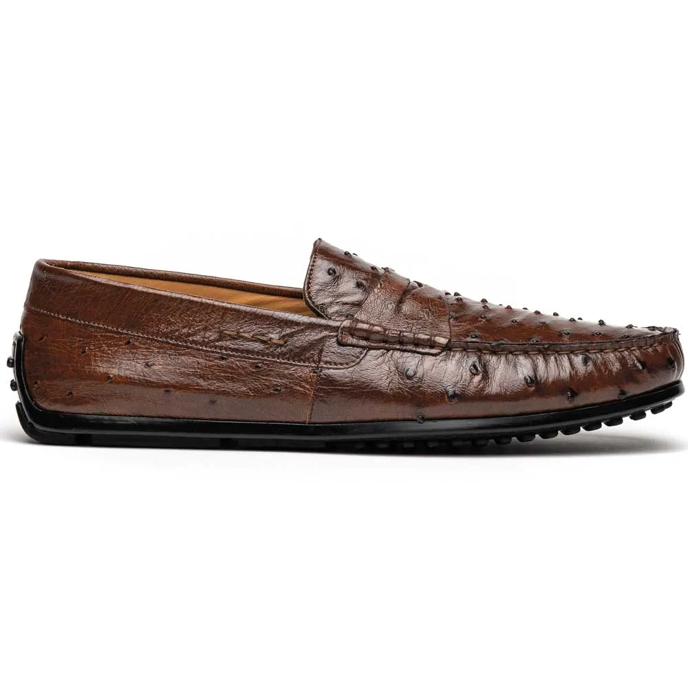 Monza Ostrich Quill Driver in Brown by Zelli Italia