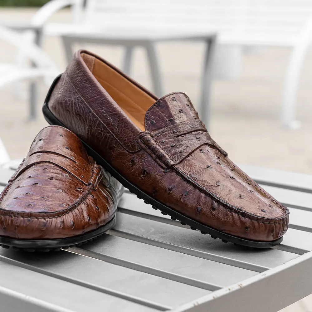 Monza Ostrich Quill Driver in Brown by Zelli Italia
