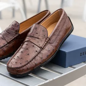 Monza Ostrich Quill Driver in Brown by Zelli Italia