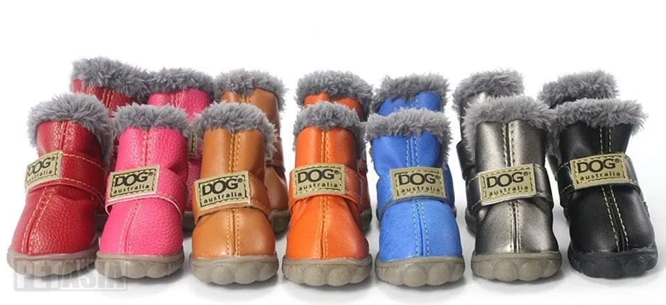 Puppy Uggs